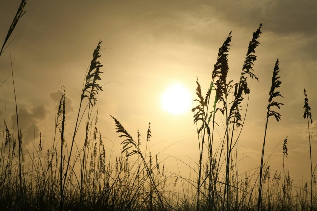 Why Does God Allow Evil to Exist?