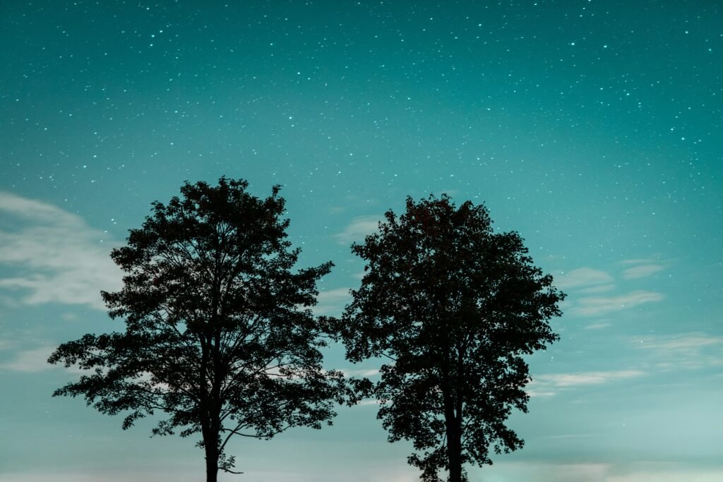 Is Jesus the literal Son of God?